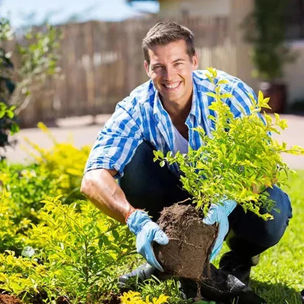 Fast Soil Activator For Every Soil( SOIL ACTIVATOR)