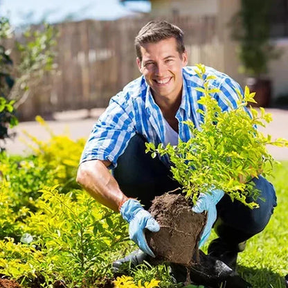 Fast Soil Activator For Every Soil( SOIL ACTIVATOR)