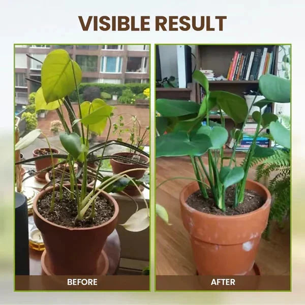Fast Soil Activator For Every Soil( SOIL ACTIVATOR)