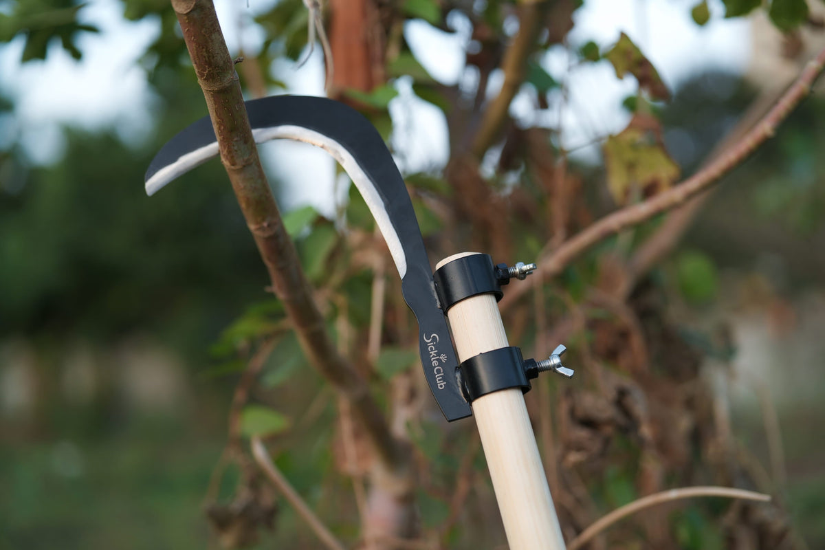 Trees Branches Cutter