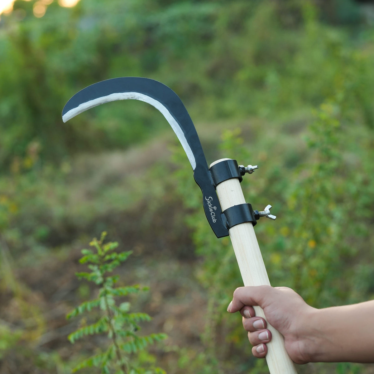 Trees Branches Cutter