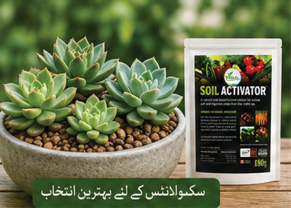 Fast Soil Activator For Every Soil( SOIL ACTIVATOR)