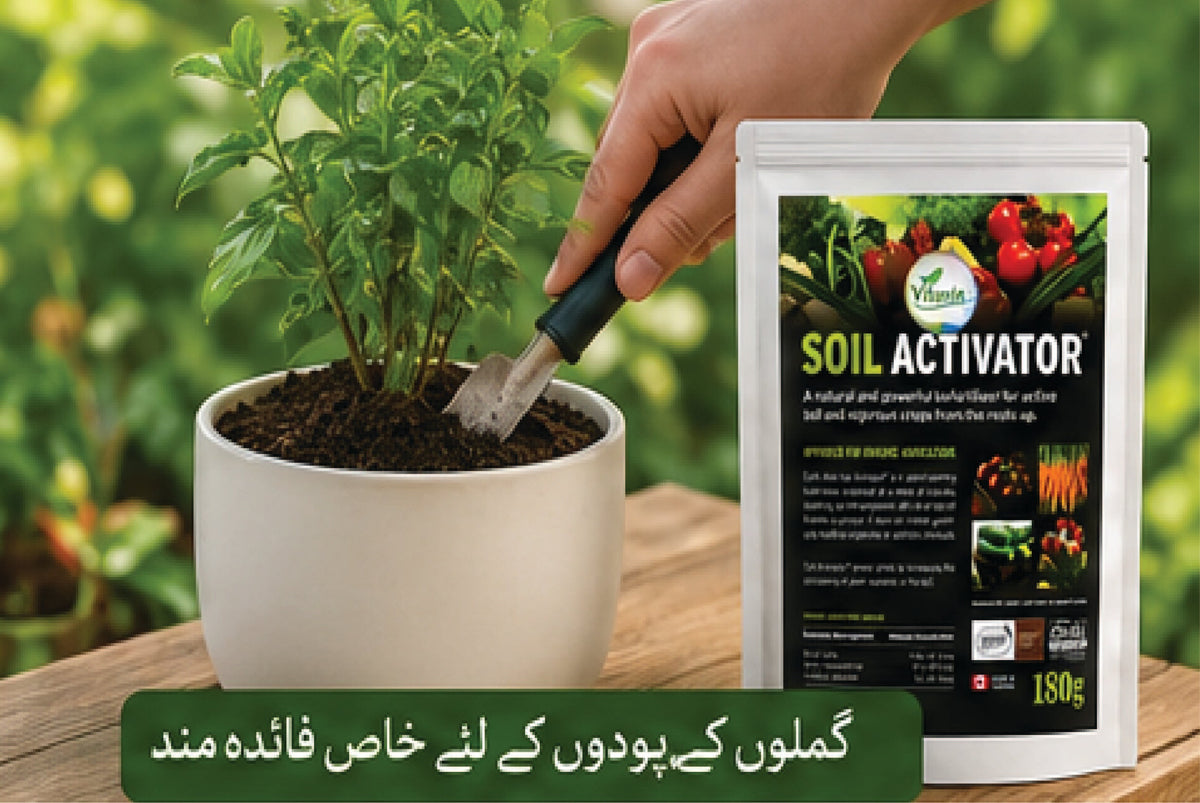 Fast Soil Activator For Every Soil( SOIL ACTIVATOR)
