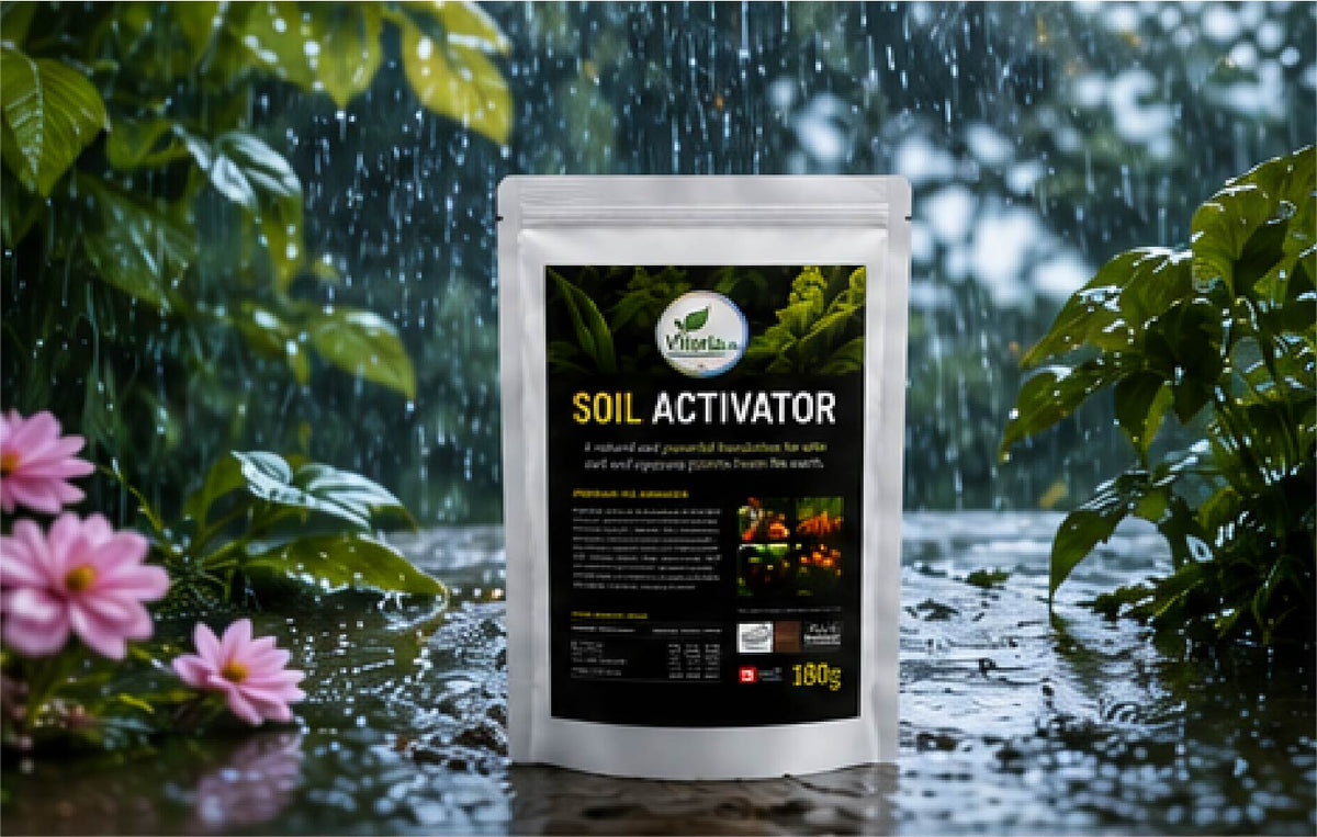 Fast Soil Activator For Every Soil( SOIL ACTIVATOR)