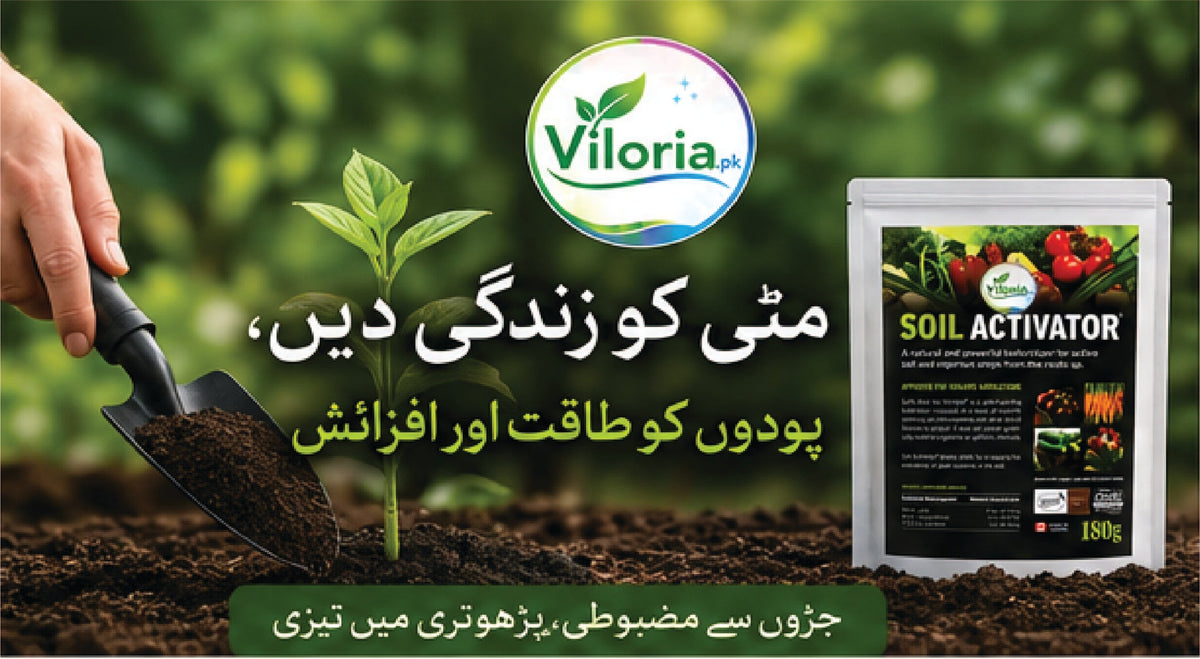 Fast Soil Activator For Every Soil( SOIL ACTIVATOR)
